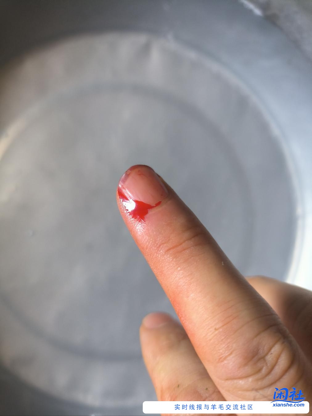喂猫肉