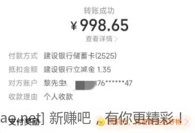 支付宝大毛