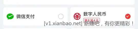 京东中行数币支付-4r