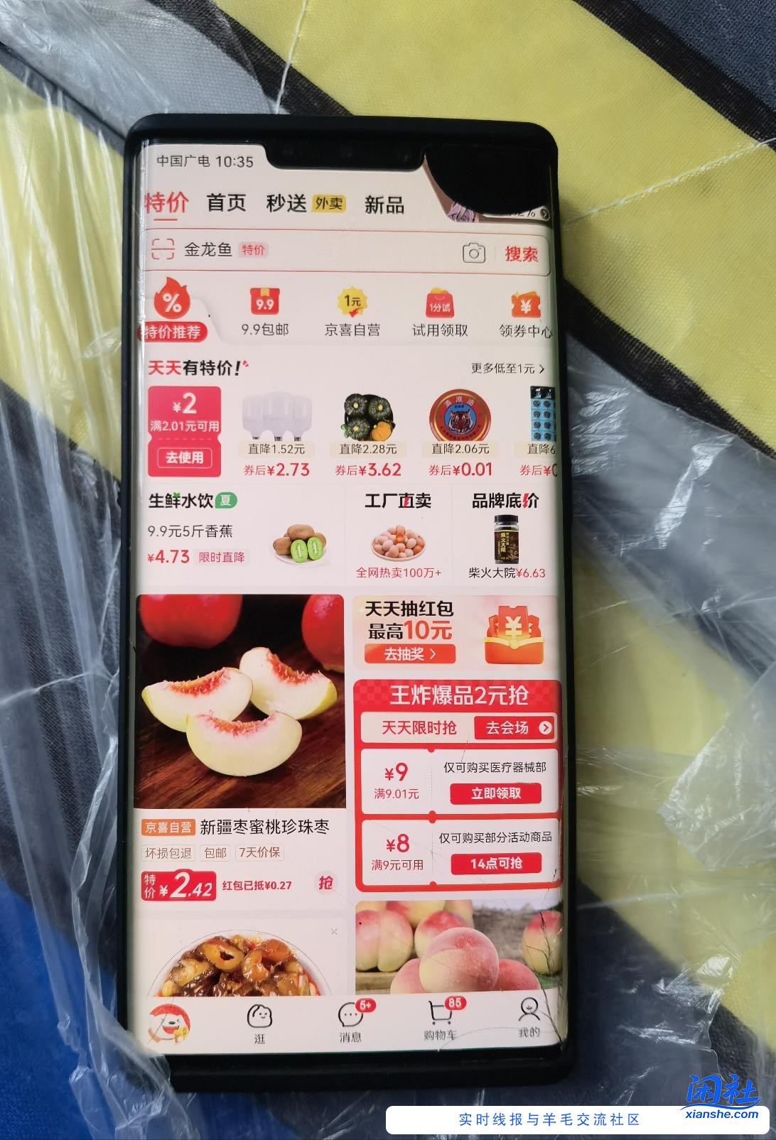 领卷撸冬枣