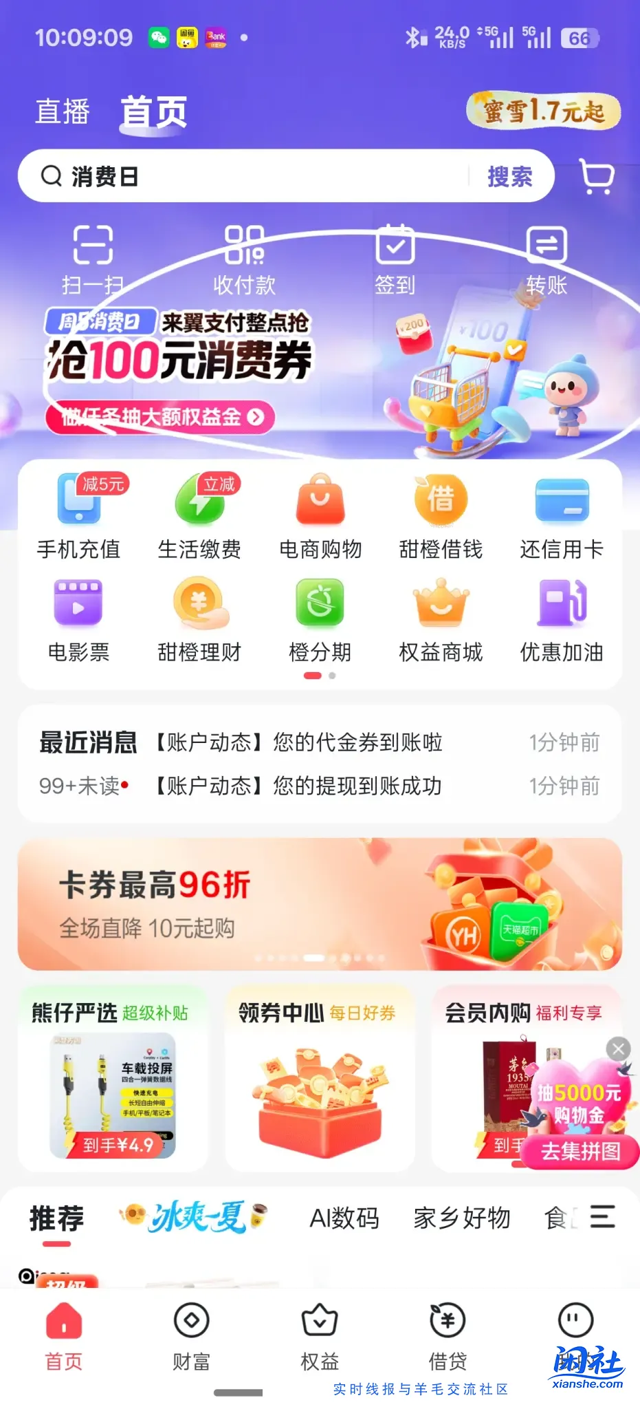 yzf10元毛