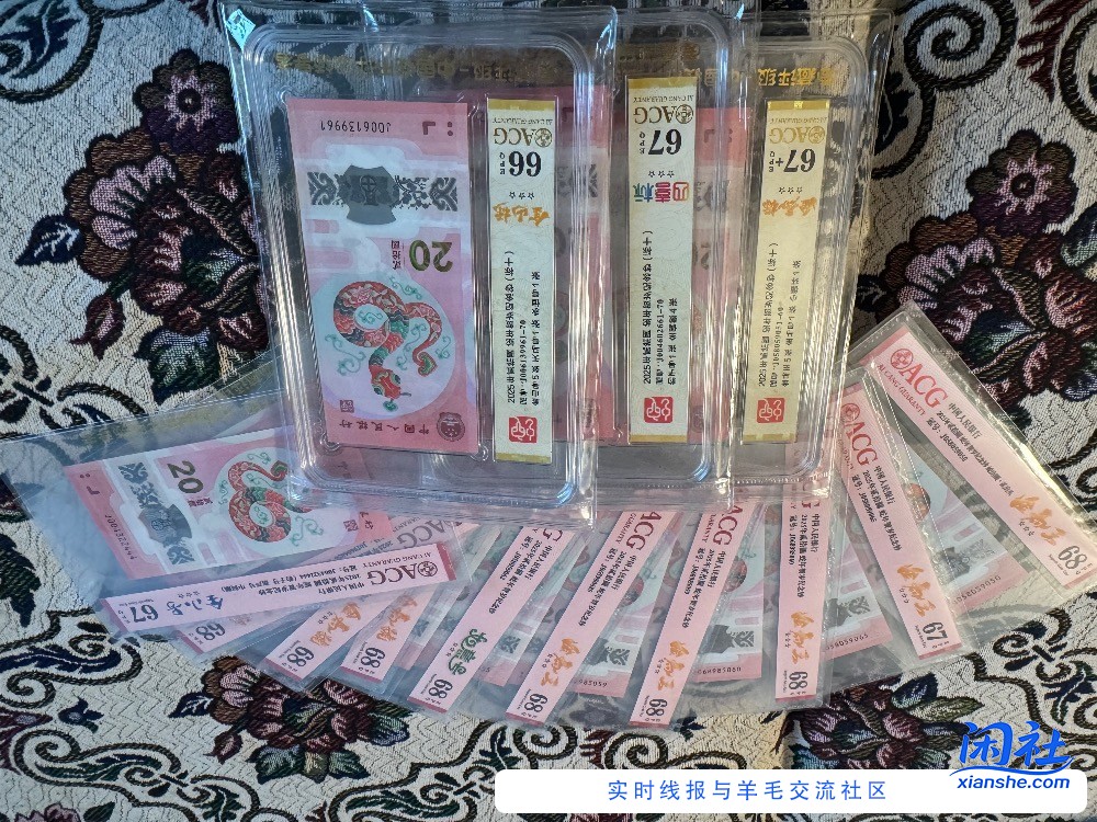 一堆蛇钞