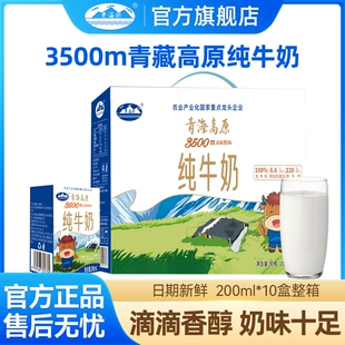 疯庞克华夫格秋冬卫衣+众知堂医用筋骨贴+熊治水牛乳蛋白棒面包