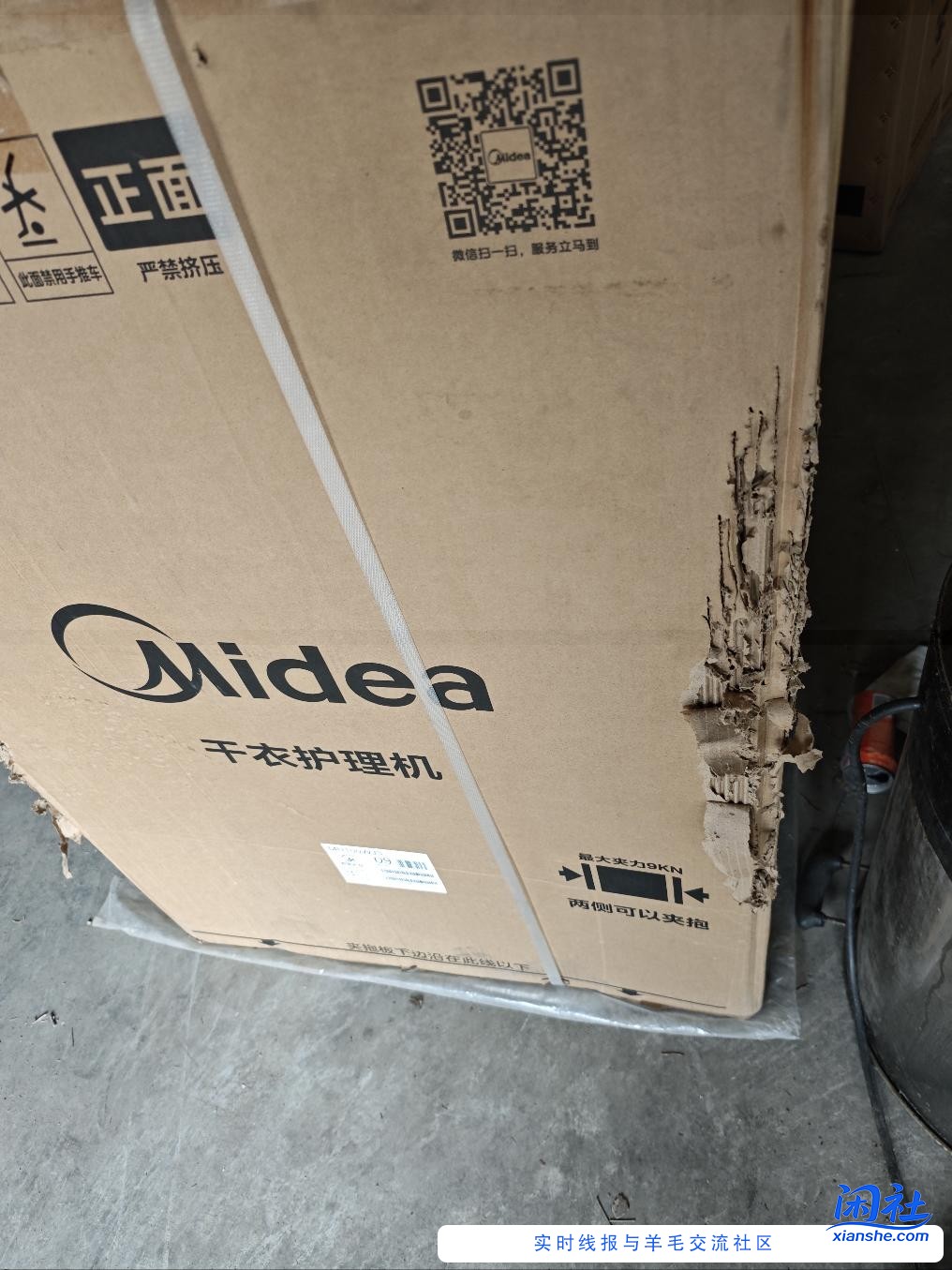 一个猫给我造成上千块的损失