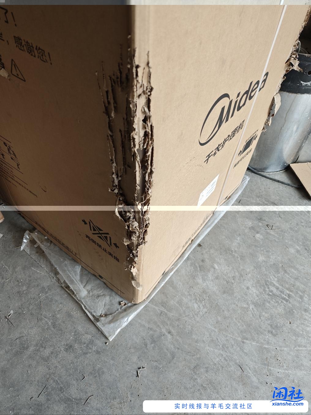 一个猫给我造成上千块的损失