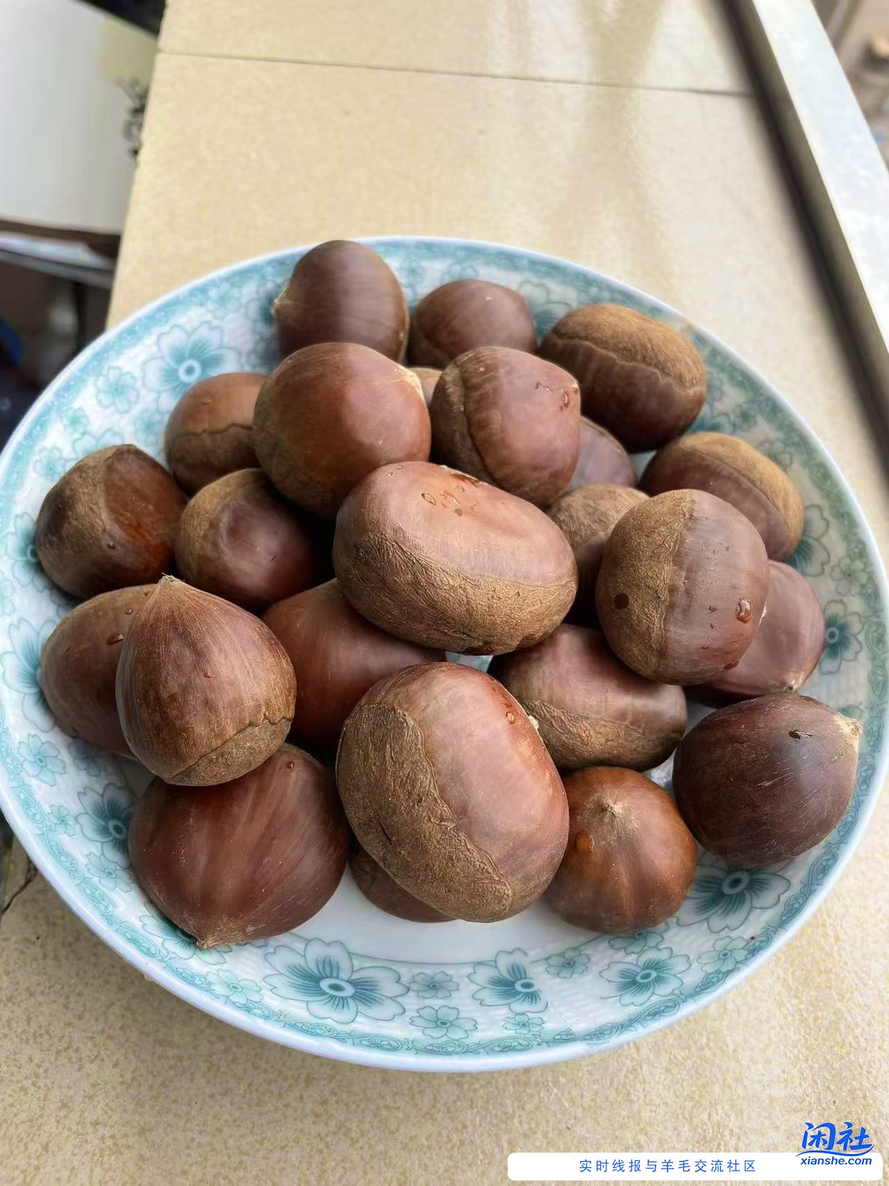 丹东板栗，专治各种嘴硬…我投降…