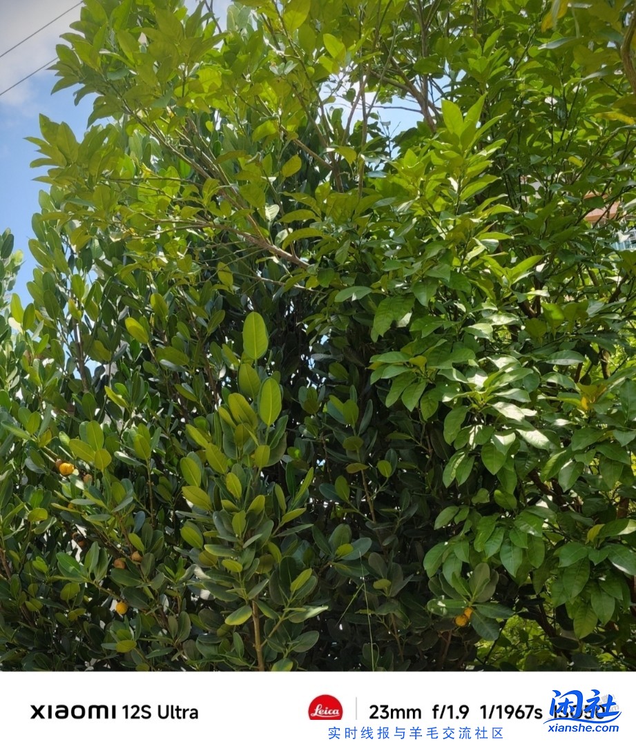 VIVO X100，16+1T，多少能淘到？