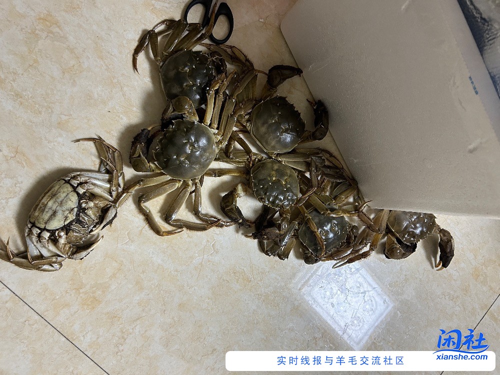 京东大闸蟹有死的 167买的