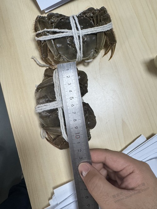 京东大闸蟹有死的 167买的