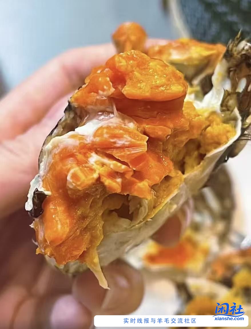 这个螃蟹的成色怎么样？