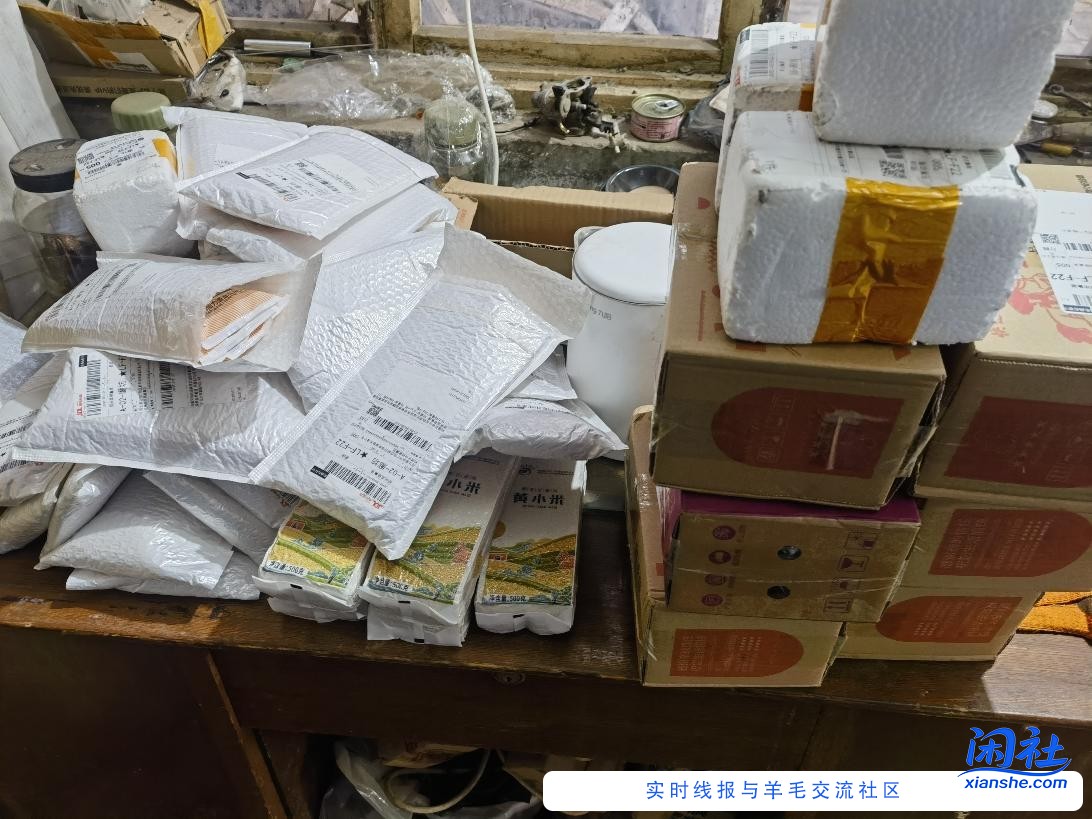 我今天京东的进货到了明天继续