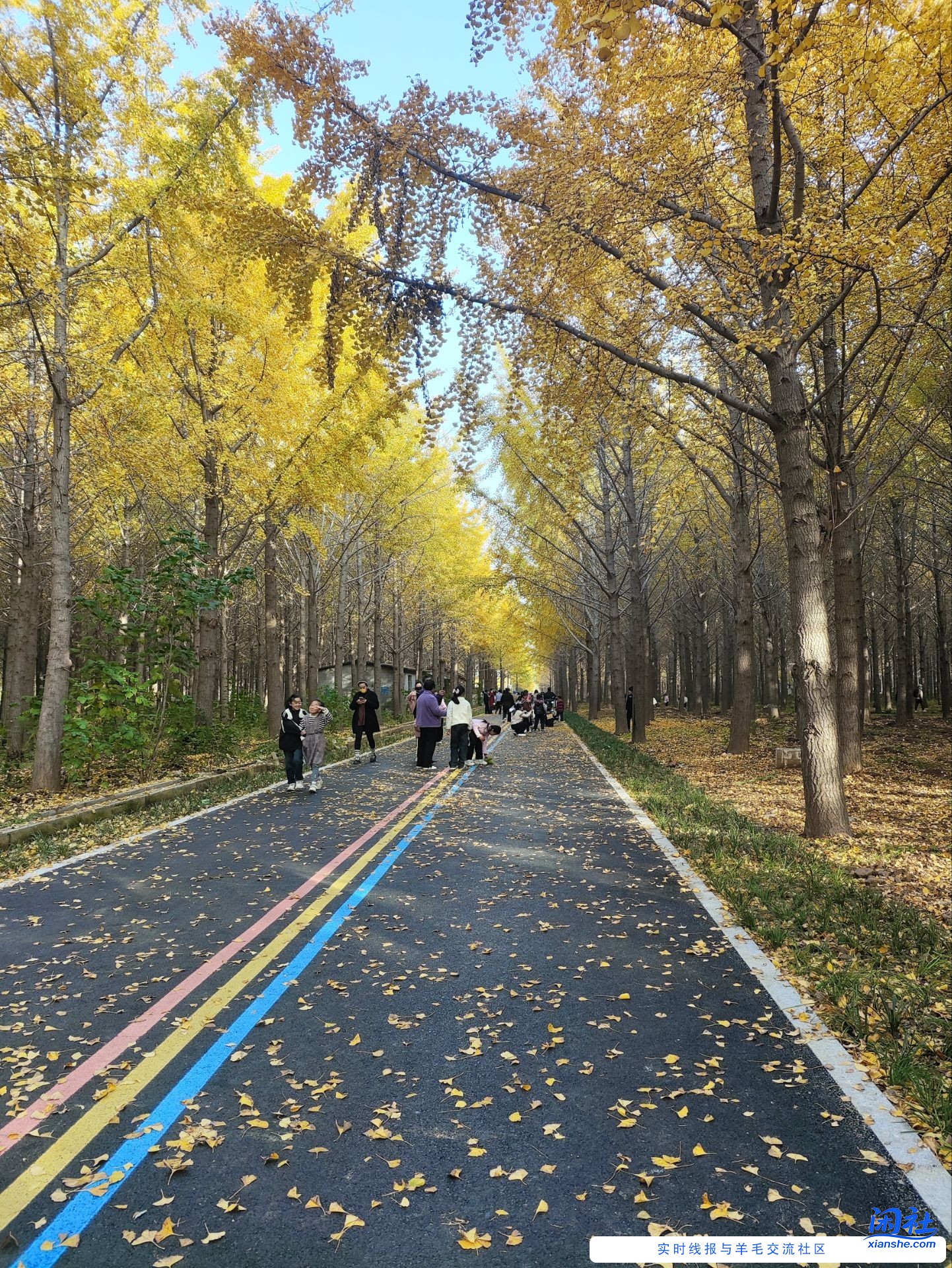 北京的秋天尊嘟是这样吗