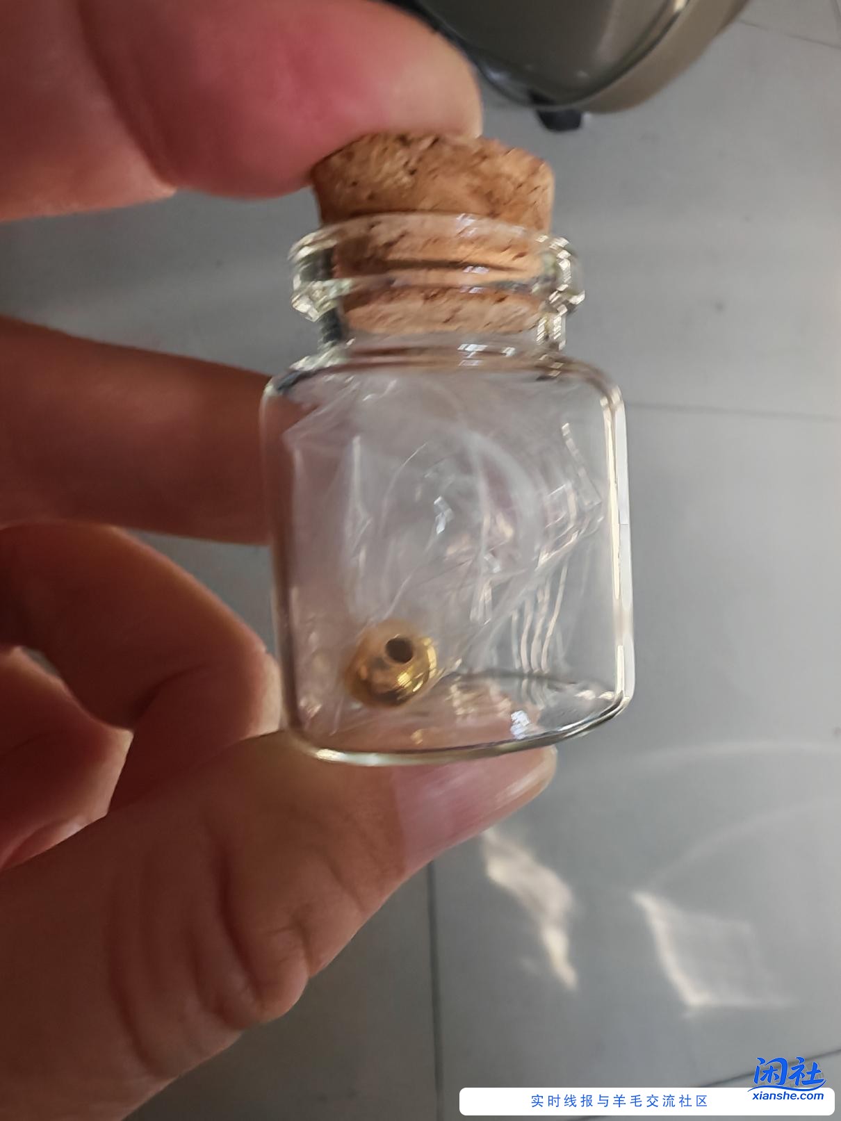 这金珠老哥有印象多重的啊？