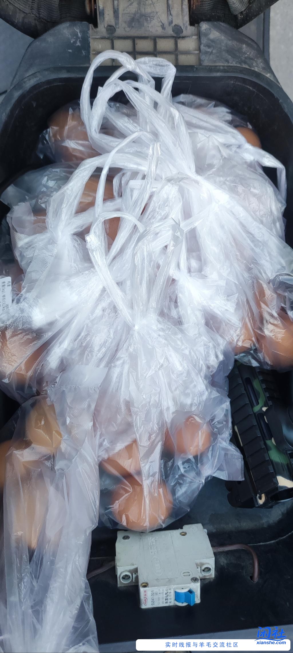 碰一下红包都买鸡蛋了