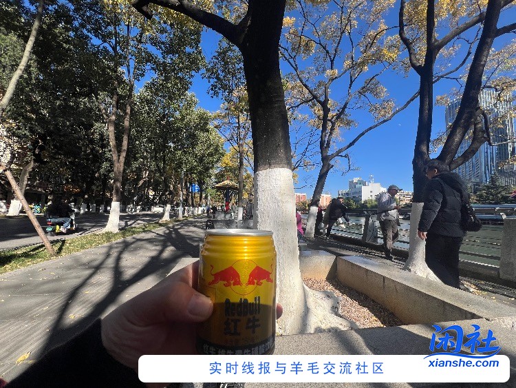 昆明人的一下午